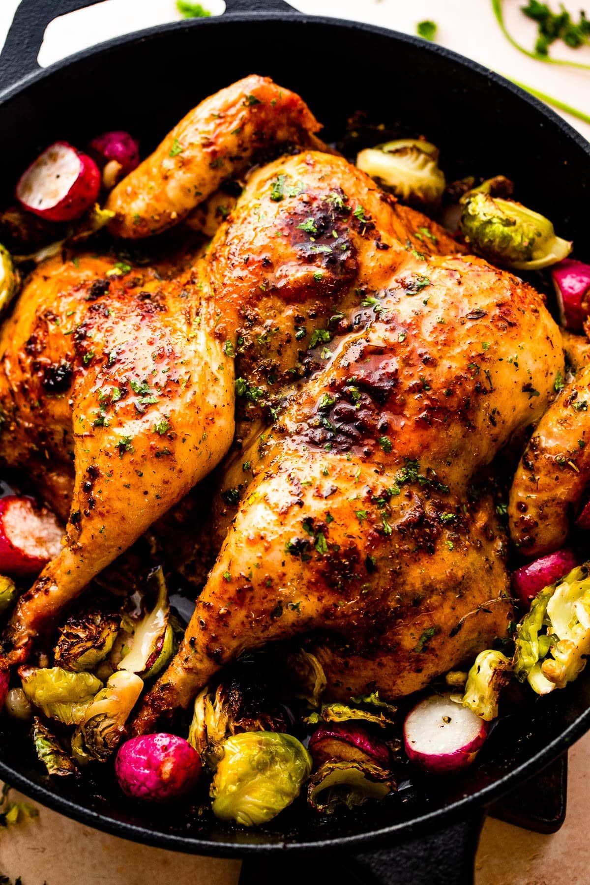 spatchcock-chicken-recipe